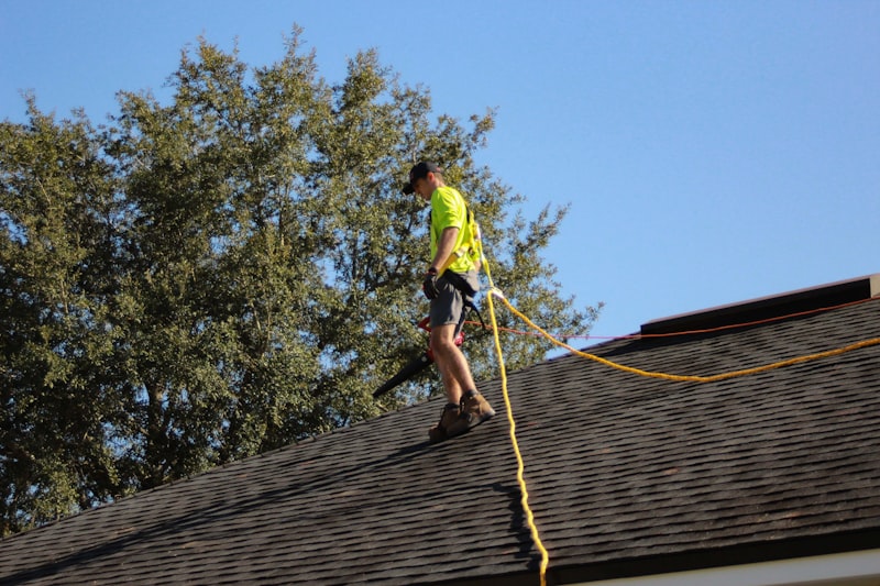 Roof Cleaning and Moss Treatment